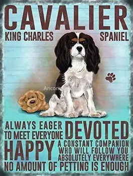Cavalier King Charles Spaniel Animais do Cão Sinal de Metal ESTANHO Placa de Impressão de Imagem Retrô Parede de Casa Pub Bar Vintage Café Decoração